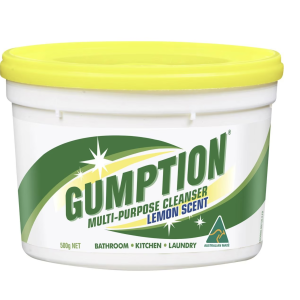 GUMPTION PASTE 500G 160092-M